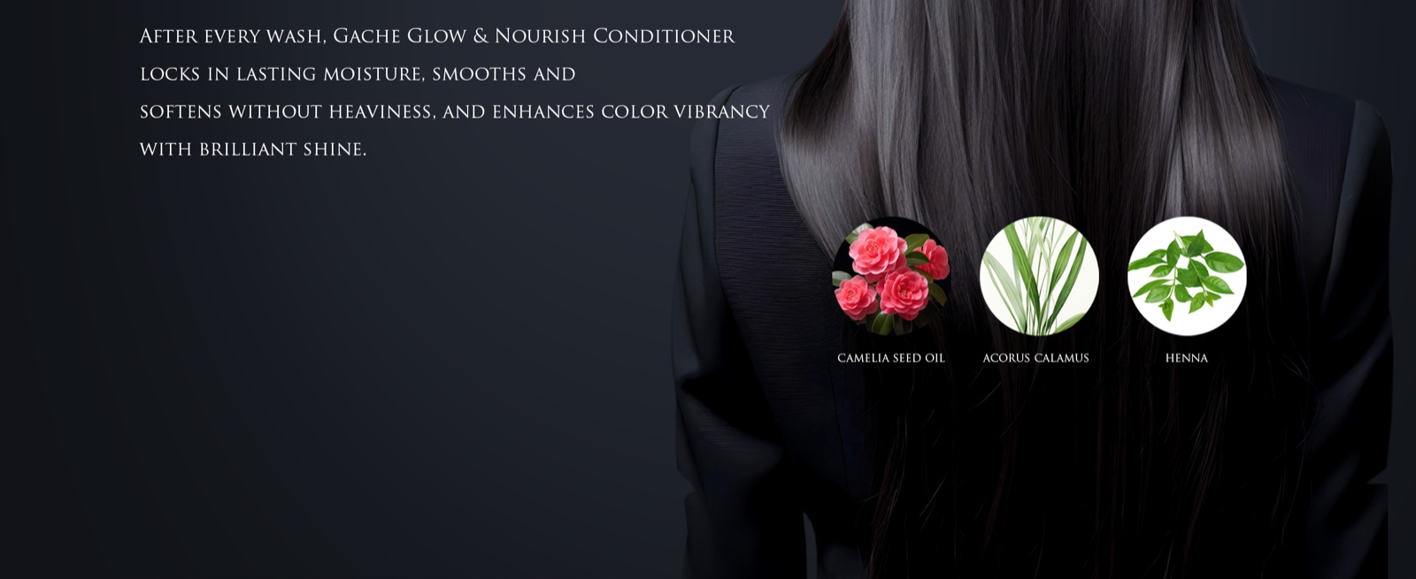 Everyday clarity, lasting nourishment — camellia seed oil and Acorus calamus